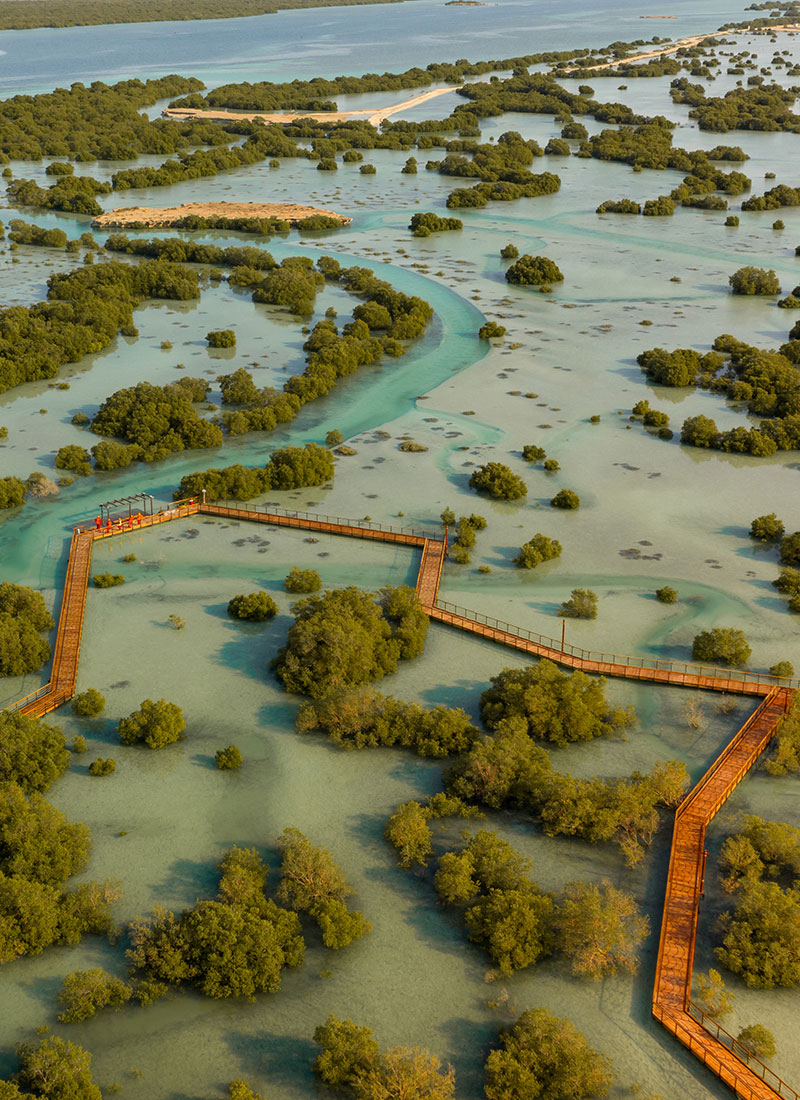 jubail-mangroves-park