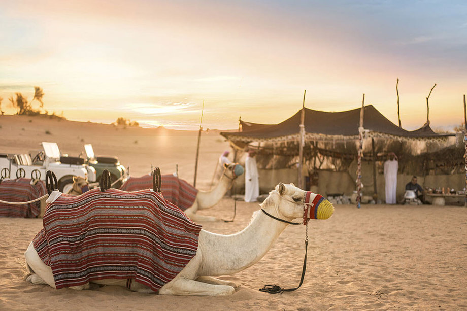 Bedouin Culture Safari