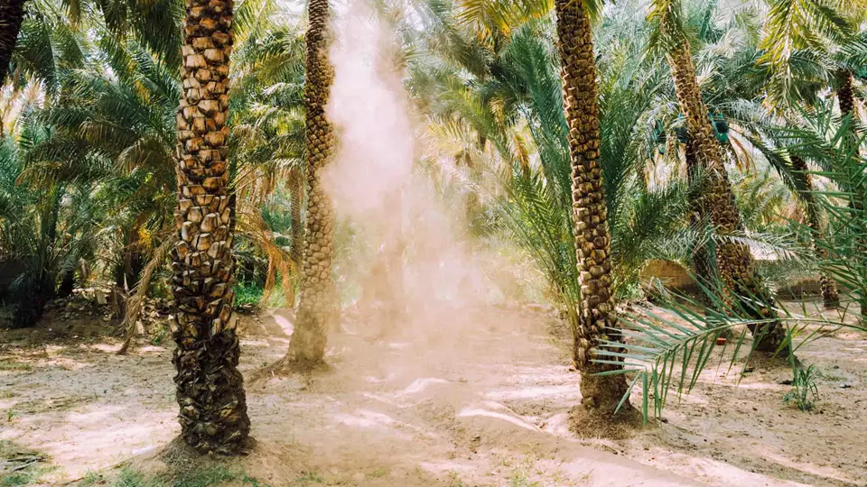 Al-Ain-Oasis-05