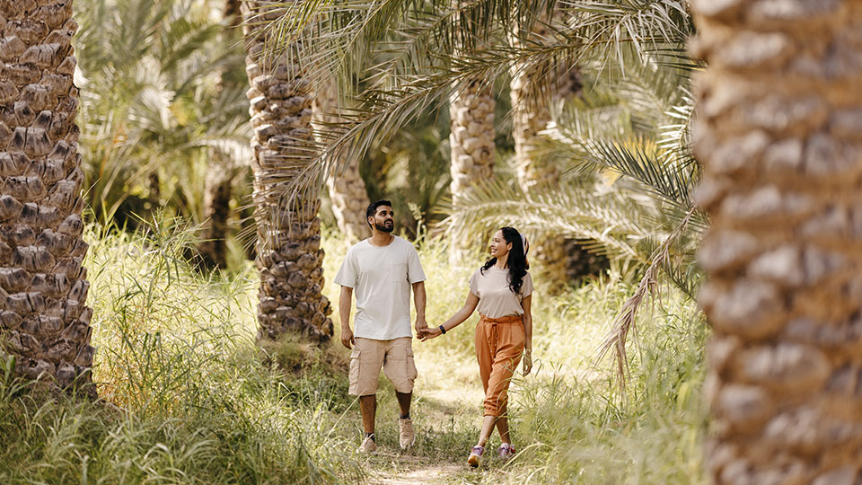 Exploring-Al-Ain-Oasis-(2)